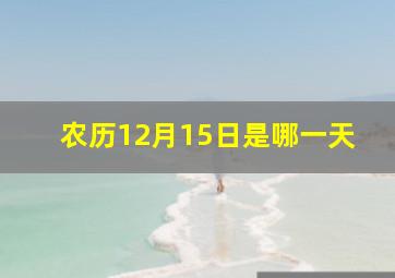 农历12月15日是哪一天