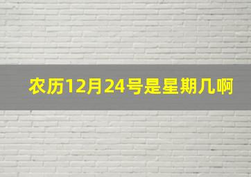 农历12月24号是星期几啊