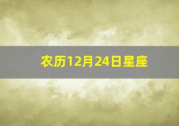 农历12月24日星座