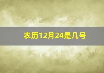 农历12月24是几号