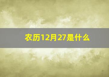 农历12月27是什么