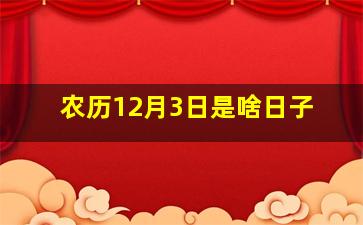 农历12月3日是啥日子