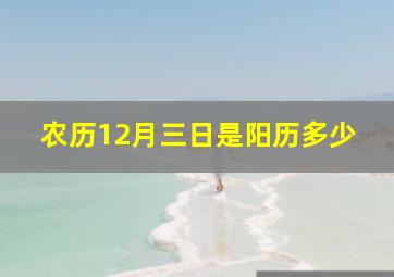 农历12月三日是阳历多少