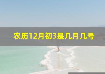 农历12月初3是几月几号