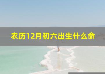 农历12月初六出生什么命