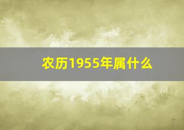 农历1955年属什么