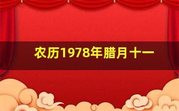 农历1978年腊月十一