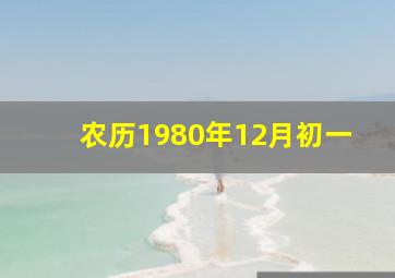 农历1980年12月初一