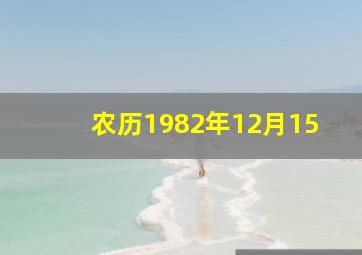 农历1982年12月15