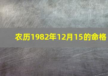 农历1982年12月15的命格