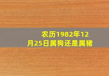 农历1982年12月25日属狗还是属猪