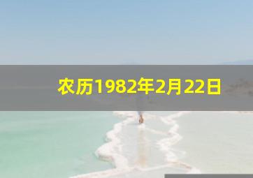 农历1982年2月22日