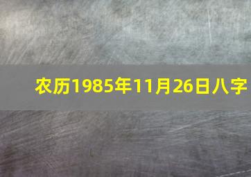 农历1985年11月26日八字