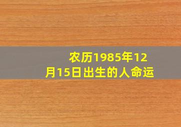 农历1985年12月15日出生的人命运