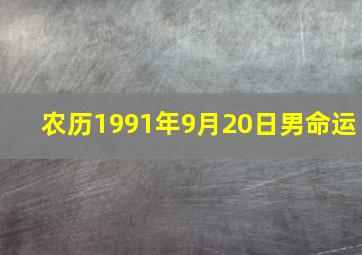 农历1991年9月20日男命运