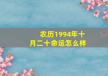 农历1994年十月二十命运怎么样