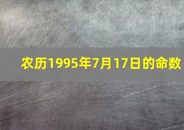 农历1995年7月17日的命数