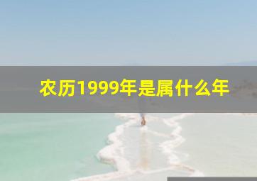 农历1999年是属什么年