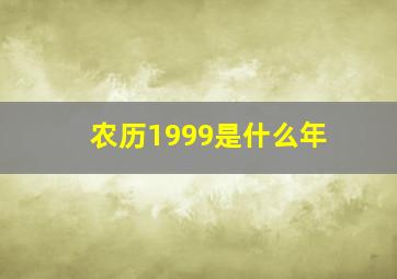 农历1999是什么年