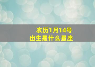 农历1月14号出生是什么星座