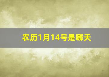 农历1月14号是哪天