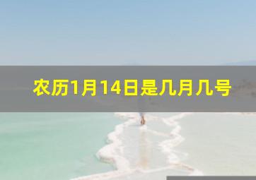 农历1月14日是几月几号