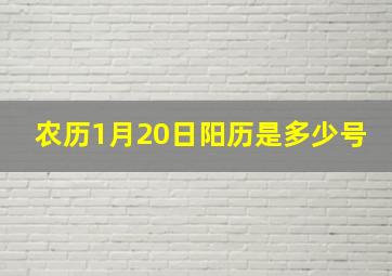 农历1月20日阳历是多少号