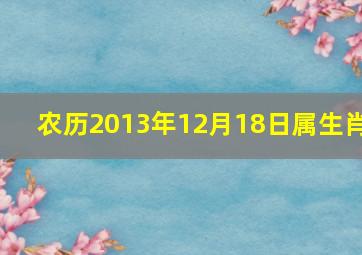 农历2013年12月18日属生肖