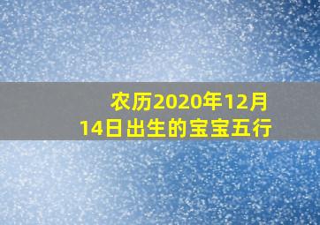 农历2020年12月14日出生的宝宝五行