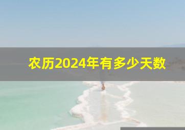 农历2024年有多少天数