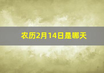 农历2月14日是哪天