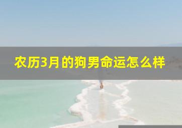 农历3月的狗男命运怎么样