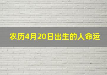 农历4月20日出生的人命运