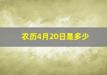 农历4月20日是多少