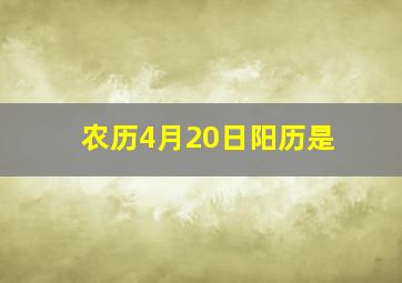 农历4月20日阳历是