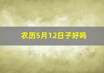 农历5月12日子好吗