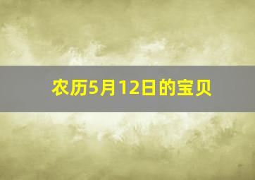 农历5月12日的宝贝