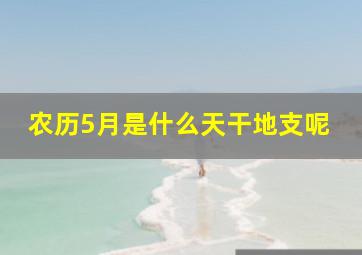 农历5月是什么天干地支呢