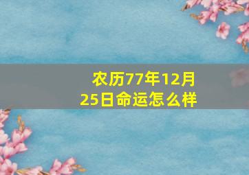 农历77年12月25日命运怎么样