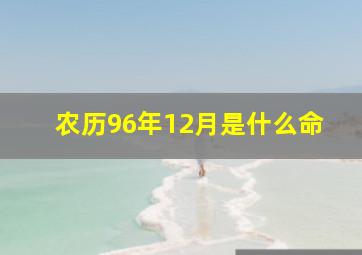 农历96年12月是什么命