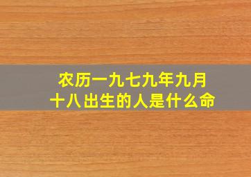 农历一九七九年九月十八出生的人是什么命