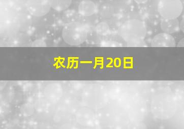 农历一月20日