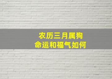 农历三月属狗命运和福气如何