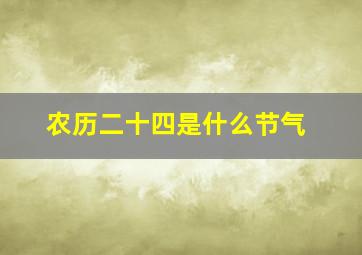 农历二十四是什么节气