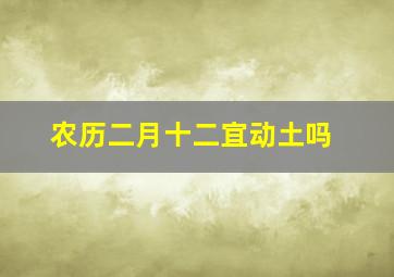 农历二月十二宜动土吗