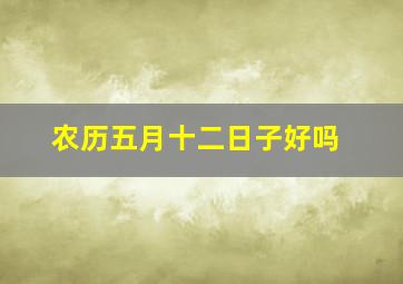 农历五月十二日子好吗