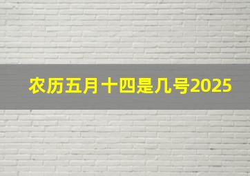 农历五月十四是几号2025