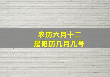 农历六月十二是阳历几月几号