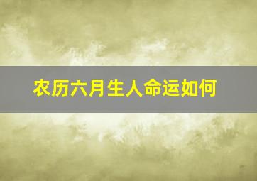 农历六月生人命运如何