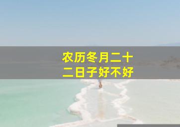 农历冬月二十二日子好不好